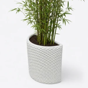 Domov kotno korito evergreen 50